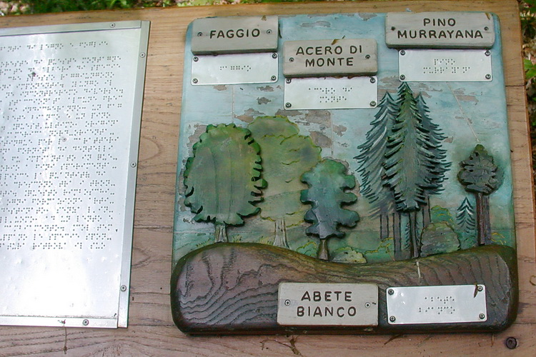 Presentazione della guida interattiva alla flora